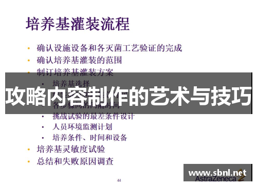 攻略内容制作的艺术与技巧